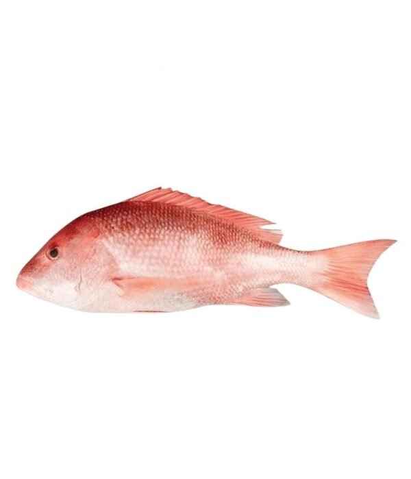 Red Snapper Heera (ریڈ اسنیپر ہیرا)