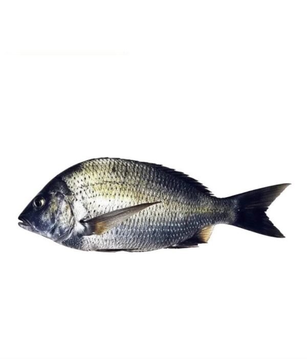 Black Dhandia (بلیک دھندیا)