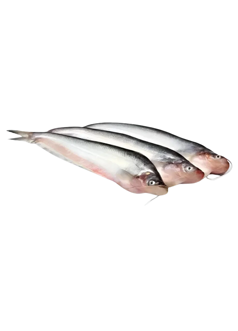 padded-29338-1788607288259 Pafda Fish - Image 1