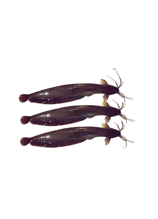 Stinging Catfish
